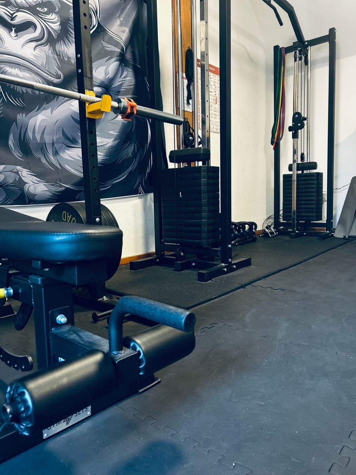 The cable stacks and resistance bands along the far wall of the gym