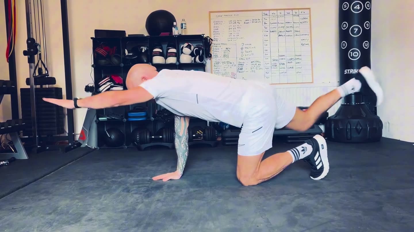 Ross demonstrating a bird dog, one arm reaching forward and the opposite leg back