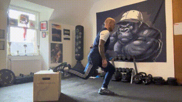 Bulgarian split squats