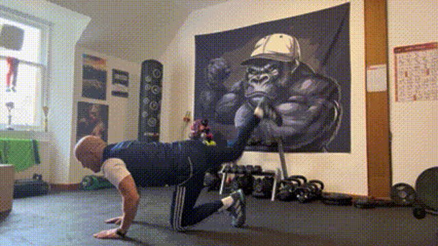 Donkey kicks