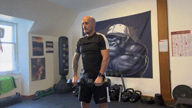 Dumbbell high pulls
