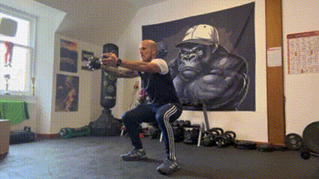 Dumbbell squat pulses