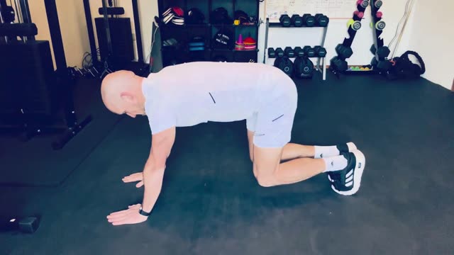 Isometric bear crawl hold