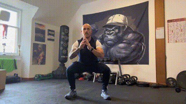 Pulse squats