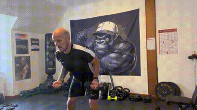 Reverse grip dumbbell row