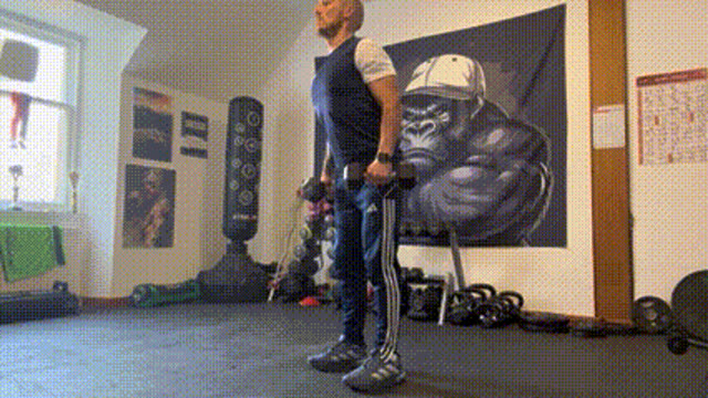 Dumbbell Romanian deadlifts