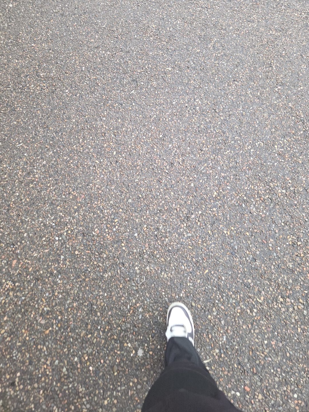 Gemma's view of the pavement mid-walk, one trainer stepping forward