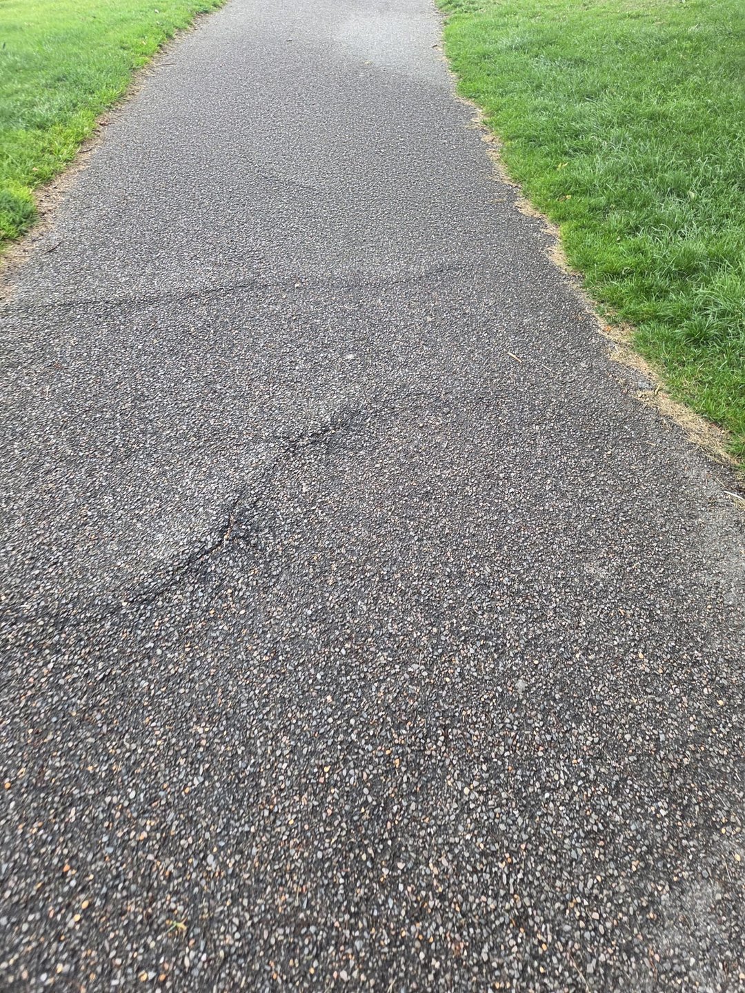 The path on Gemma's walk to work