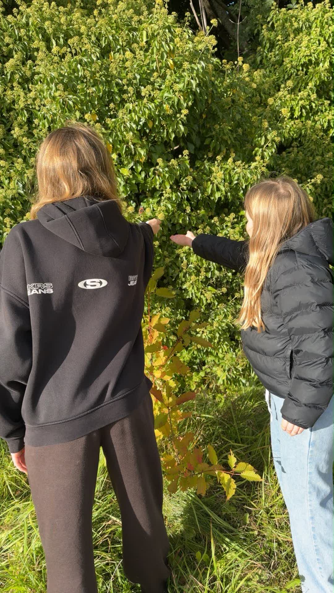 Gillian's two girls stopped at a hedge on a walk, reaching into the branches