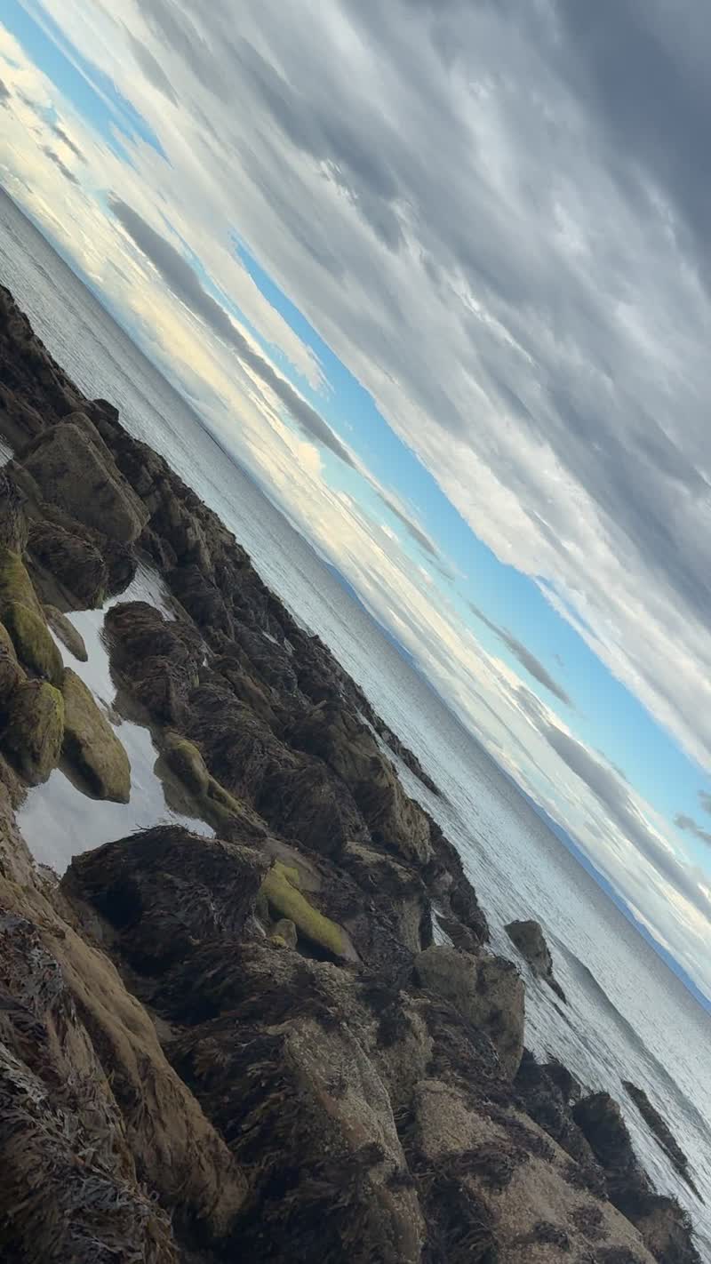 Seaweed-covered rocks along the shoreline with the sea beyond