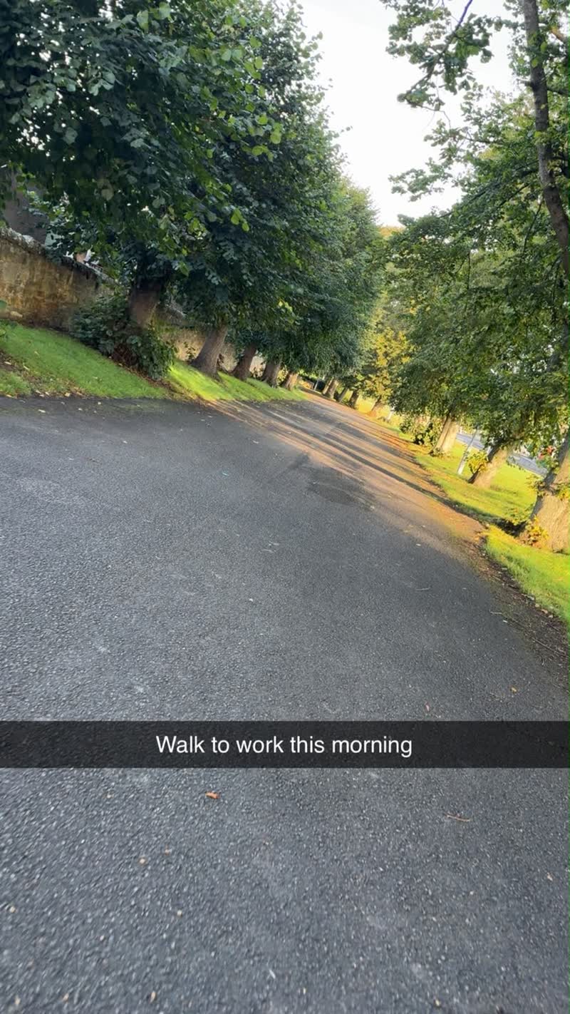 A tree-lined road on a morning walk, captioned walk to work this morning